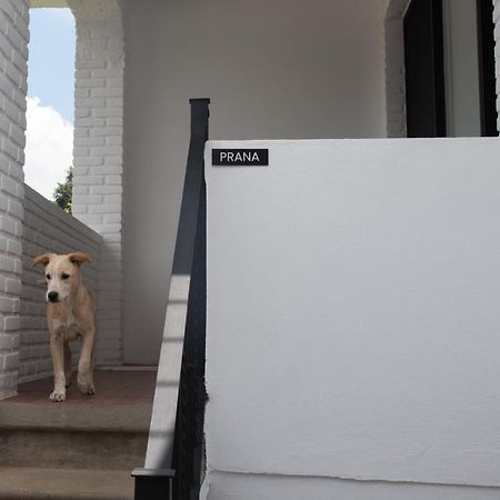 ホテル Casa Naamja テポストラン エクステリア 写真