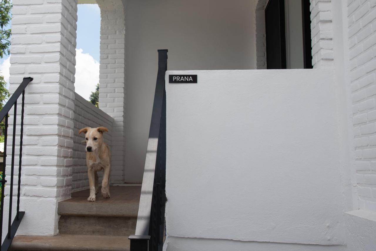 ホテル Casa Naamja テポストラン エクステリア 写真